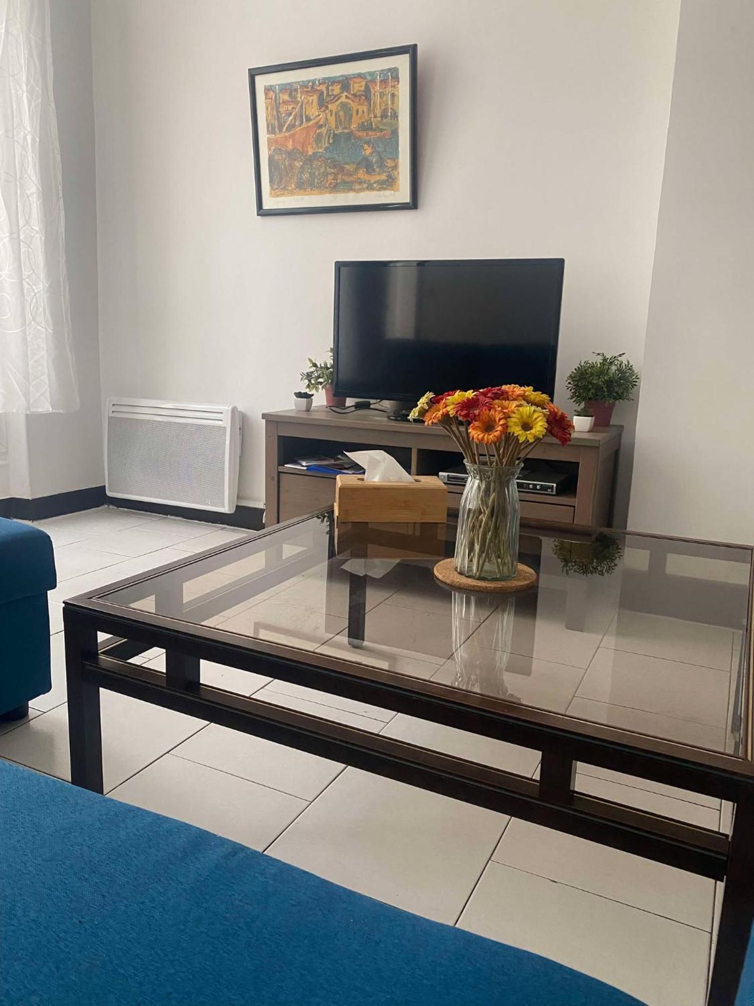 Apartment Joli T2 Refait A Neuf, Lumineux Et Accessible