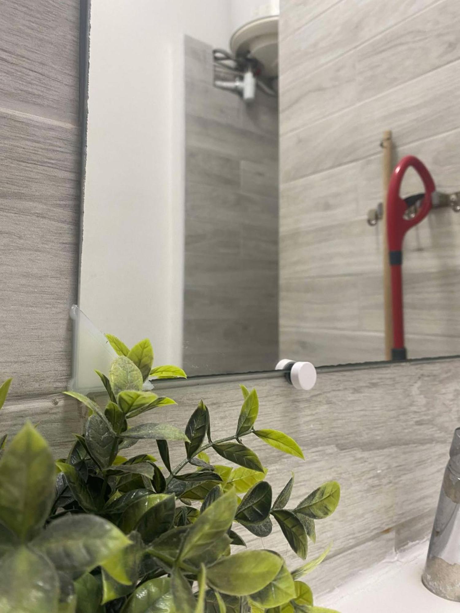 Joli T2 Refait A Neuf, Lumineux Et Accessible *